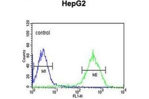 Flow cytometric analysis of HepG2 cells using NDUFA10 Antibody (Center) Cat. (NDUFA10 抗体  (Middle Region))