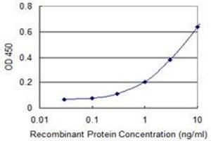 Detection limit for recombinant GST tagged EEF1G is 0. (EEF1G 抗体  (AA 1-437))