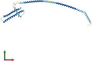 AlphaFold protein structure predicition of Human Recombinant LZTFL1 Protein, UniprotID Q9NQ48 (LZTFL1 Protein (AA 1-299) (His tag))