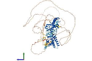 Protein Structure (PS) image for Ring Finger Protein 10 (RNF10) (AA 1-811) protein (His tag) (ABIN7551529)