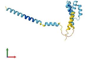 AlphaFold protein structure predicition of Mouse Recombinant Tomm20l Protein, UniprotID Q9D4V6