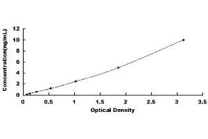 Typical Standard Curve (Vitamin D-Binding Protein ELISA 试剂盒)
