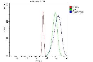 Flow Cytometry analysis of A431 cells using anti-NSE antibody (ABIN6719549). (ENO2/NSE 抗体)