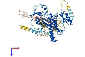 Protein Structure (PS) image for Tubulin tyrosine Ligase-Like Family, Member 9 (TTLL9) (AA 1-439) protein (His tag) (ABIN7544887)
