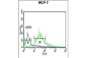 LXN Antibody (ABIN6242431 and ABIN6579060) flow cytometric analysis of MCF-7 cells (right histogram) compared to a negative control cell (left histogram). (Latexin 抗体)