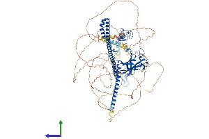 Protein Structure (PS) image for Tripartite Motif Containing 37 (TRIM37) (AA 1-961) protein (His tag) (ABIN7564114)