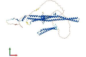 Protein Structure (PS) image for Formin Binding Protein 1 (FNBP1) (AA 1-616) protein (His tag) (ABIN7564243)