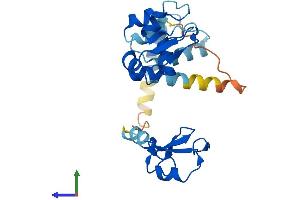 AlphaFold protein structure predicition of Human Recombinant BIRC8 Protein, UniprotID Q96P09