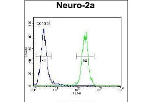 Flow cytometric analysis of Neuro-2a cells (right histogram) compared to a negative control cell (left histogram). (MAF1 抗体  (AA 90-117))