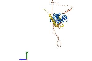 Protein Structure (PS) image for Ets Variant 7 (ETV7) (AA 1-341) protein (His tag) (ABIN7547400)
