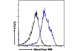 (ABIN334460) Flow cytometric analysis of paraformaldehyde fixed MCF7 cells (blue line), permeabilized with 0. (PINK1 抗体  (Internal Region))