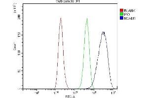 Flow Cytometry analysis of 293T cells using anti-NCAM1 antibody (ABIN7602512).