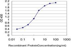 Detection limit for recombinant GST tagged NUP133 is 0. (NUP133 抗体  (AA 1069-1155))