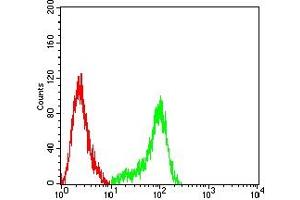 Flow cytometric analysis of THP-1 cells using CD314 mouse mAb (green) and negative control (red). (KLRK1 抗体  (AA 73-216))