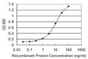 Detection limit for recombinant GST tagged GNL3 is 0. (Nucleostemin 抗体  (AA 328-427))