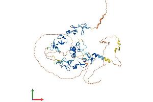 Protein Structure (PS) image for Actin Binding LIM Protein Family, Member 2 (ABLIM2) (AA 1-612) protein (His tag) (ABIN7558732)