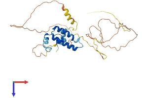AlphaFold protein structure predicition of Mouse Recombinant Dnajb7 Protein, UniprotID Q9QYI8