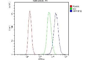 Flow Cytometry analysis of PC-3 cells using anti-DARPP32 antibody (ABIN3044534).