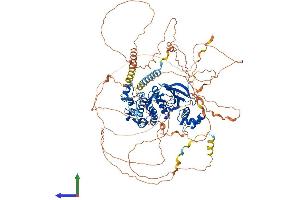Protein Structure (PS) image for Salt-Inducible Kinase 2 (SIK2) (AA 1-931) protein (His tag) (ABIN7564556)