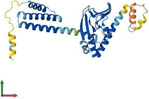 Protein Structure (PS) image for Popeye Domain Containing 3 (POPDC3) (AA 1-291) protein (His tag) (ABIN7561459)