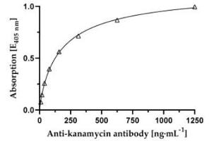 Affinity determination of anti-kanamycin specific mAb against kanamycin-BSA conjugate. (Kanamycin 抗体)