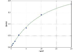 Melanoma Cell Adhesion Molecule (MCAM) ELISA Kit