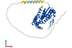 Protein Structure (PS) image for Prostaglandin E Synthase 2 (PTGES2) (AA 1-384) protein (His tag) (ABIN7558965)