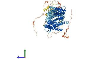 AlphaFold protein structure predicition of Mouse Recombinant Adcy1 Protein, UniprotID O88444