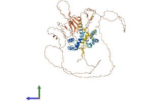 Protein Structure (PS) image for POU Class 6 Homeobox 2 (POU6F2) (AA 1-691) protein (His tag) (ABIN7558700)