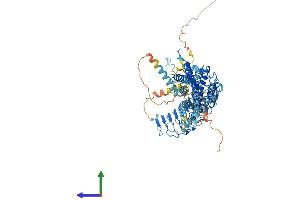 Protein Structure (PS) image for Relaxin/insulin-Like Family Peptide Receptor 1 (RXFP1) (AA 1-758) protein (His tag) (ABIN7564144)