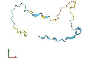 Protein Structure (PS) image for Small Muscle Protein, X-Linked (SMPX) (AA 1-88) protein (Fc Tag) (ABIN7546133)