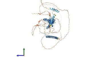 AlphaFold protein structure predicition of Human Recombinant MLPH Protein, UniprotID Q9BV36