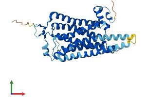 Protein Structure (PS) image for Trace Amine Associated Receptor 9 (TAAR9) (AA 1-348) protein (His tag) (ABIN7544108)