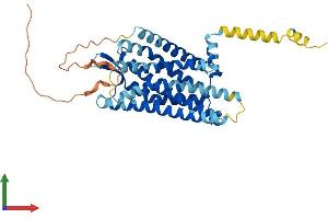 AlphaFold protein structure predicition of Human Recombinant OPRK1 Protein, UniprotID P41145