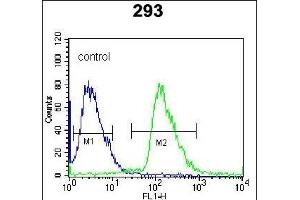 RFK Antibody (N-term) (ABIN391271 and ABIN2841321) flow cytometric analysis of 293 cells (right histogram) compared to a negative control cell (left histogram). (Riboflavin Kinase 抗体  (N-Term))