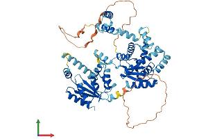 Protein Structure (PS) image for Adenylate Kinase 5 (AK5) (AA 1-562) protein (His tag) (ABIN7548659)