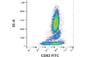 Surface staining of CD82 on human peripheral blood cells with anti-CD82 (C33) FITC. (CD82 抗体  (FITC))