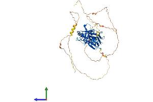 Protein Structure (PS) image for V-Rel Reticuloendotheliosis Viral Oncogene Homolog B (RELB) (AA 1-579) protein (His tag) (ABIN7555161)