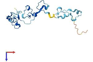 AlphaFold protein structure predicition of Human Recombinant CPSF4L Protein, UniprotID A6NMK7