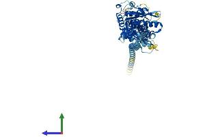 Protein Structure (PS) image for Guanylate Binding Protein 3 (GBP3) (AA 1-595) protein (His tag) (ABIN7547866)