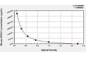 Typical standard curve (Nephrin ELISA 试剂盒)