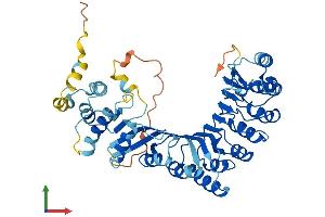 AlphaFold protein structure predicition of Human Recombinant PRAMEF25 Protein, UniprotID A6NGN4