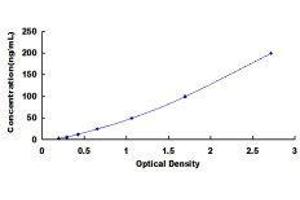 Golgi Membrane Protein 1 (GOLM1) ELISA Kit