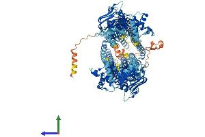 Protein Structure (PS) image for ATP-Binding Cassette, Sub-Family B (MDR/TAP), Member 5 (ABCB5) (AA 1-1257) protein (His tag) (ABIN7551761)