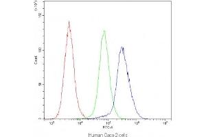 Flow cytometry testing of human Caco-2 cells with IDE antibody at 1ug/10^6 cells (blocked with goat sera) (IDE 抗体)
