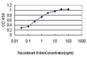 Detection limit for recombinant GST tagged HOXD8 is approximately 0. (HOXD8 抗体  (AA 126-190))