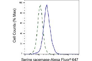 Validation of Serine racemase knockdown using flow cytometry. (Recombinant SRR 抗体)