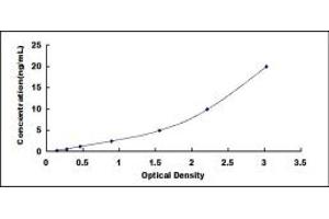 Typical standard curve (MT1E ELISA 试剂盒)