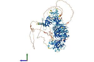 Protein Structure (PS) image for Tudor Domain Containing 7 (TDRD7) (AA 1-1098) protein (His tag) (ABIN7555745)
