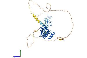 Protein Structure (PS) image for LIM Homeobox 3 (LHX3) (AA 1-400) protein (His tag) (ABIN7563363)